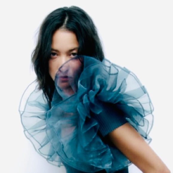 Zara Tops Zara Contrasting Organza Sleeve Crop Top Poshmark